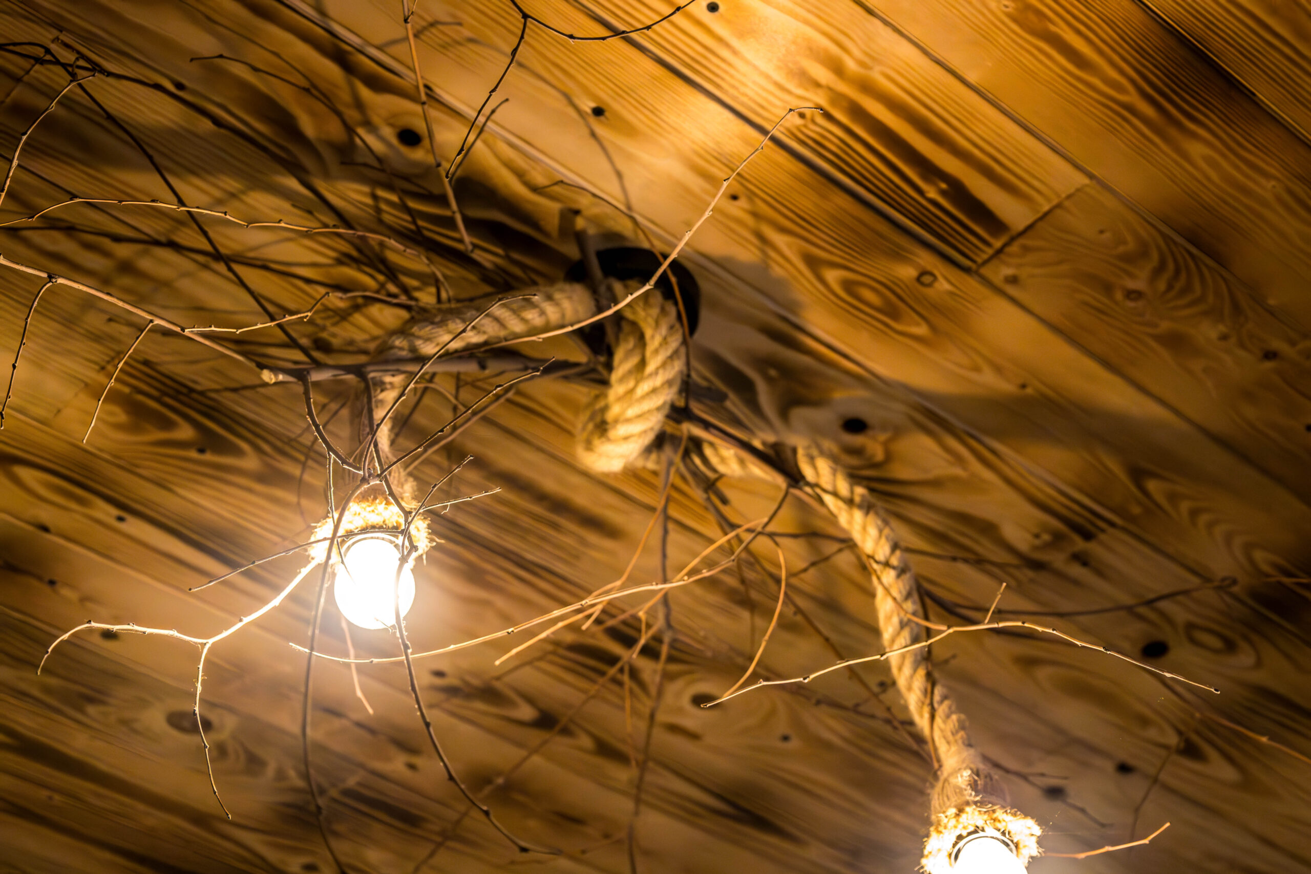 decorazioni-orto-agriturismo